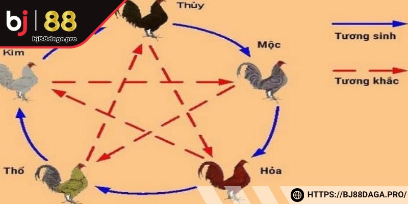 Cách xem màu mạng gà đá theo ngày dựa vào nạp âm