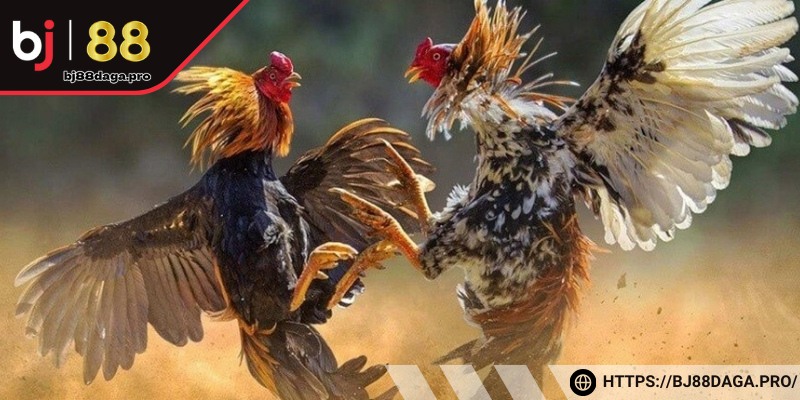 Kèo tỷ số dự đoán số hiệp diễn ra hoặc số phút so tài