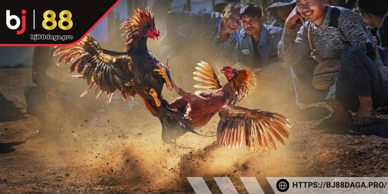 Rút kinh nghiệm từ nhiều trận trước