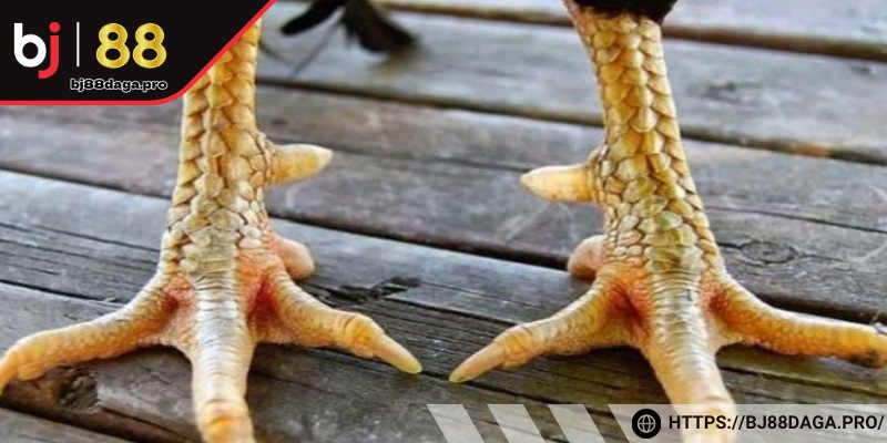 Nên tìm kiếm các loại vảy hiếm