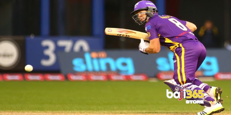 Understanding the Concept of Baji365 Login