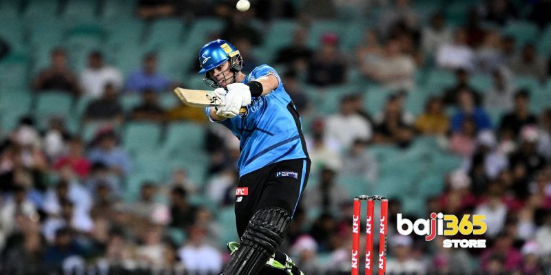 Why Choose Baji365? A Comparative Perspective